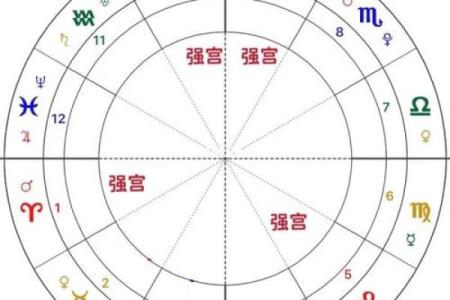 包含紫薇圣人斗数的词条