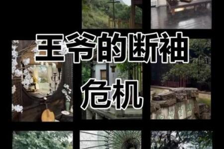 八字过硬是什么意思