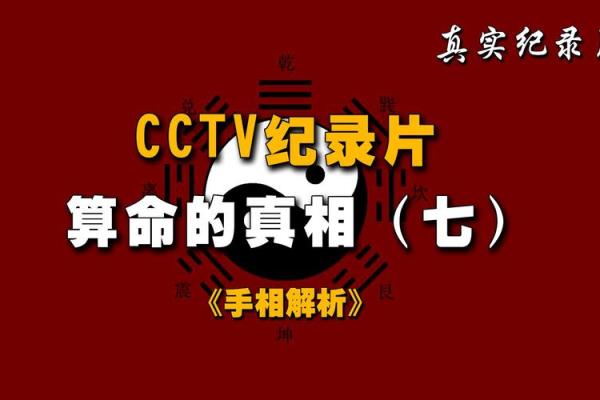 算命记录片之一集
