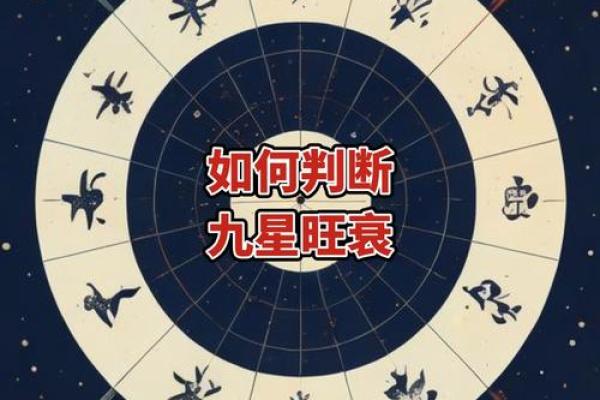 算命衰宫什么意思