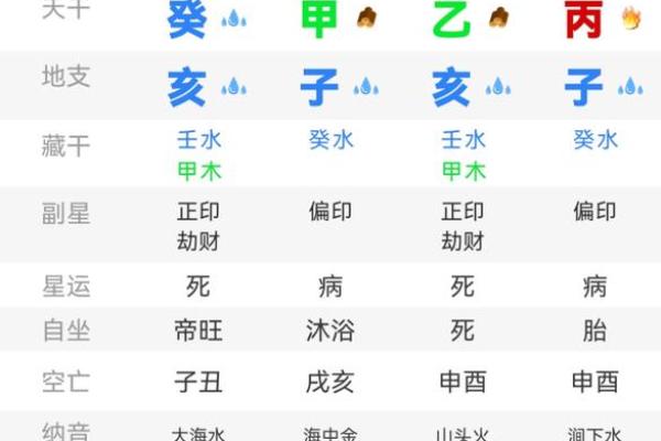 八字排盘软件开发