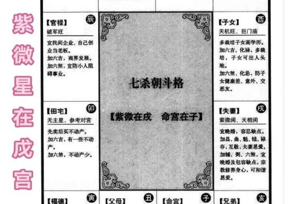 紫薇斗数富豪命