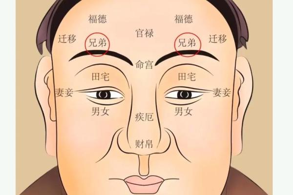刮眉毛风水