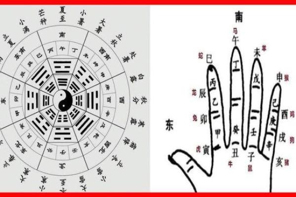 唐艺尹传统八字实例分析：身体健康长寿的命格，长寿八字信息