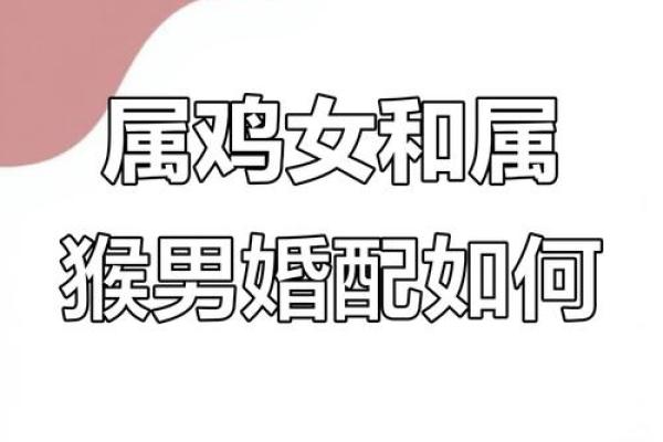 属鸡的女姻缘算命 属鸡女婚姻很坎坷吗？