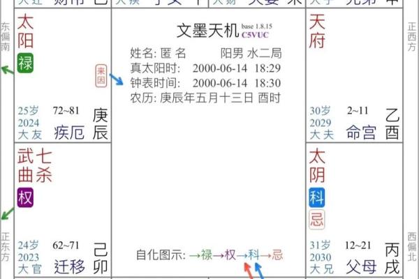 紫微斗数术语解释之：强宫、弱宫