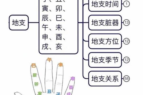 八字财库在月柱好