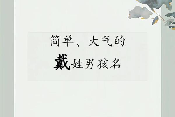 戴姓男孩名字大全-戴姓男孩起名字大全-戴姓名字大全姓名
