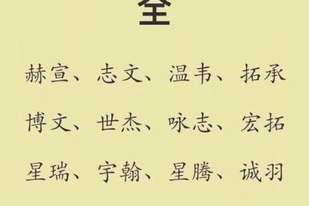 2019年4月13号卯时出生的男孩应该起什么样的名字姓名