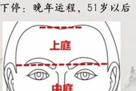 面相算命入门什么是三停 面相基础知识