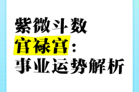 紫薇斗数看领导
