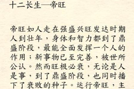 算命衰宫什么意思
