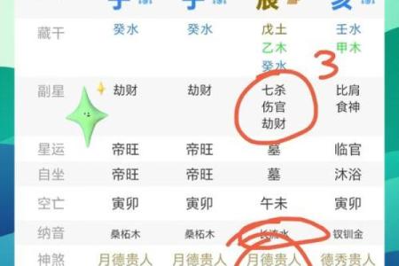 八字排盘软件开发