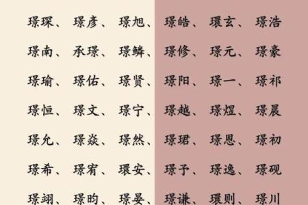 2019年5月27号卯时出生的男孩应该起什么样的名字姓名