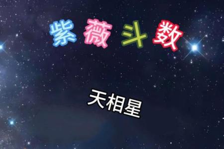 火星陀螺紫薇斗数