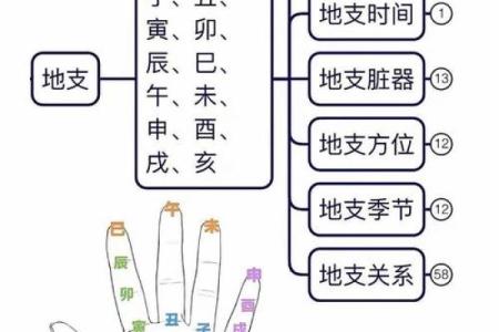 八字财库在月柱好