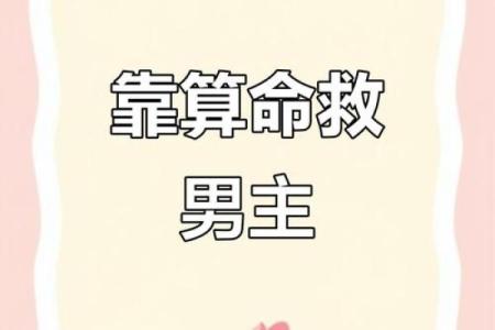 女主是算命师