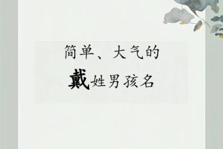 戴姓男孩名字大全-戴姓男孩起名字大全-戴姓名字大全姓名