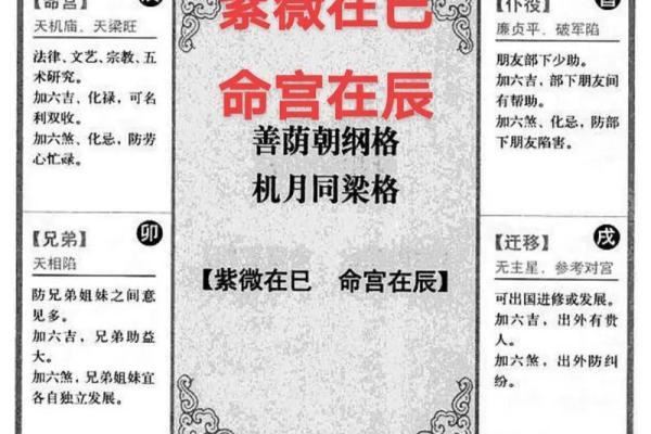 解紫薇斗数