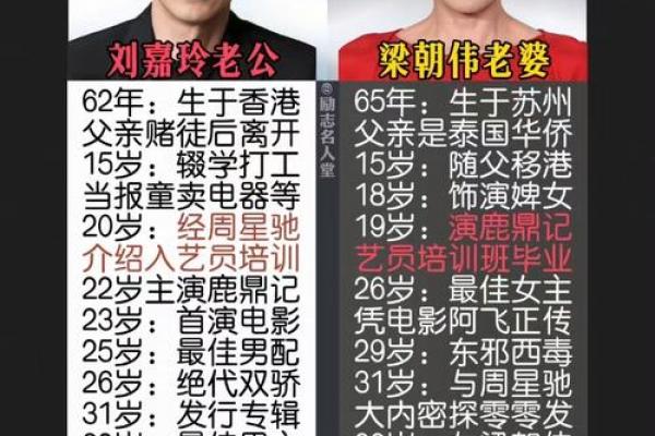 刘嘉欣梁朝伟八字合婚