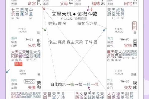 电脑紫薇斗数软件