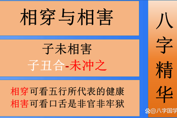 八字精华