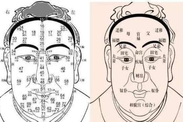 面相算命图解十二宫之：兄弟宫
