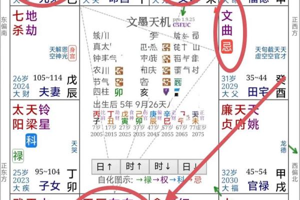 在线看紫薇斗数
