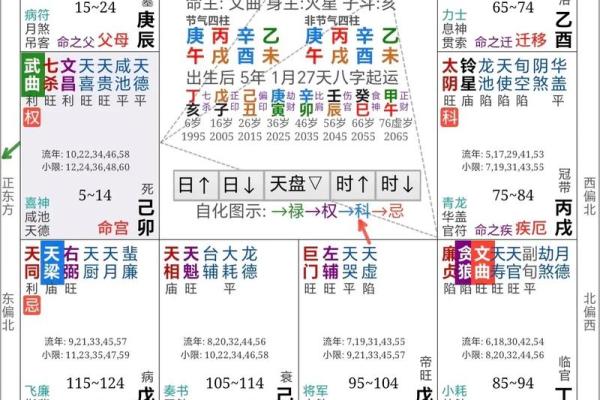 在线看紫薇斗数