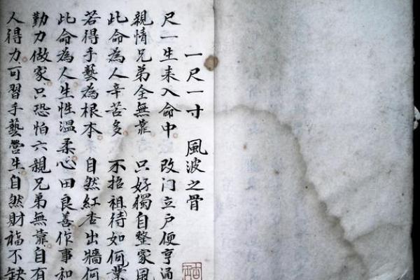 白鹤老师算命不准