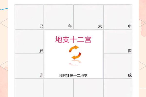 紫薇斗球数排盘