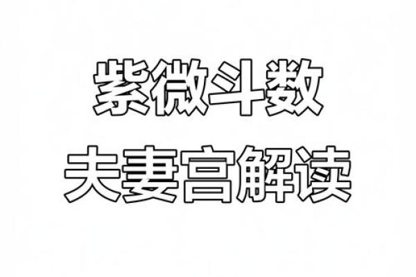 紫薇斗数看感情
