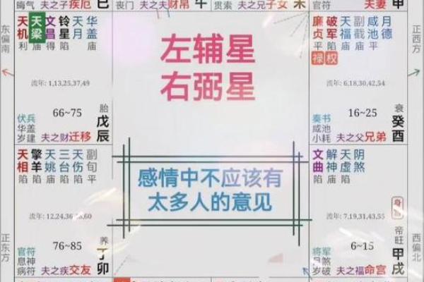 紫薇斗数看感情