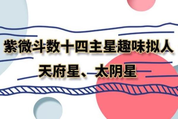 紫微斗数十四主星：太阴星概论