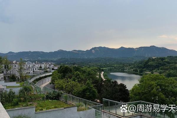 中华命理风水网_风水师业务范围