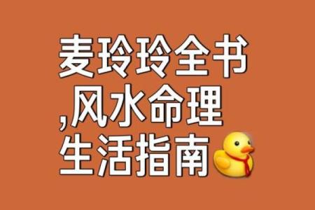 麦玲玲谈紫薇斗数