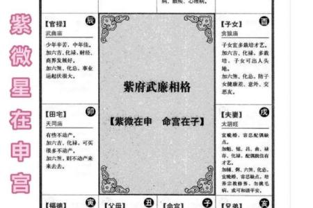 紫微斗数十四主星：天府星概论