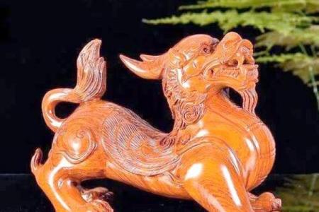 阳宅招财风水在家里放什么最好