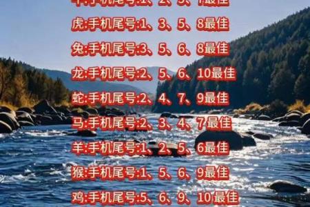 最准的手机号码吉凶测试打分