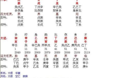 八字精华