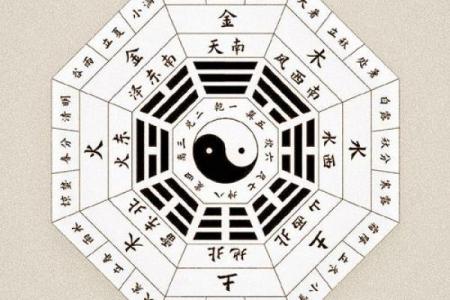 中医算命