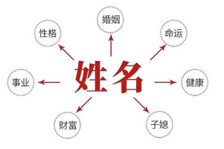 八字免费起名,取名网生辰八字免费周易起名