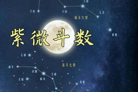 紫薇斗数的四化大运是什么