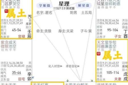 紫薇斗数老年孤独