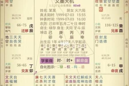 紫薇斗球数排盘
