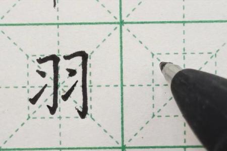 羽的八字