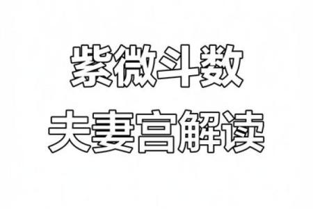 紫薇斗数看感情