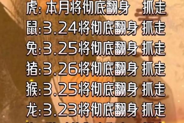 如何测八字行大运 如何测算八字大运