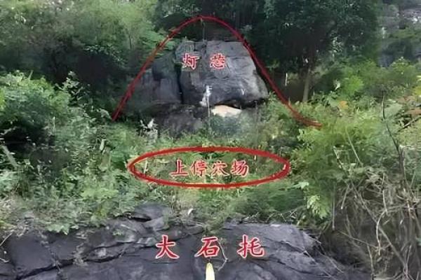 龙离房子远的风水怎样