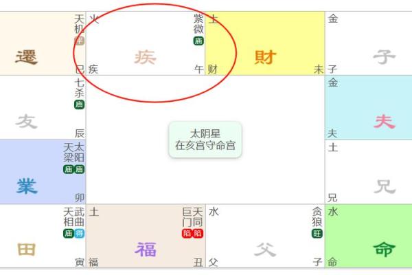 紫微斗数之：论疾厄
